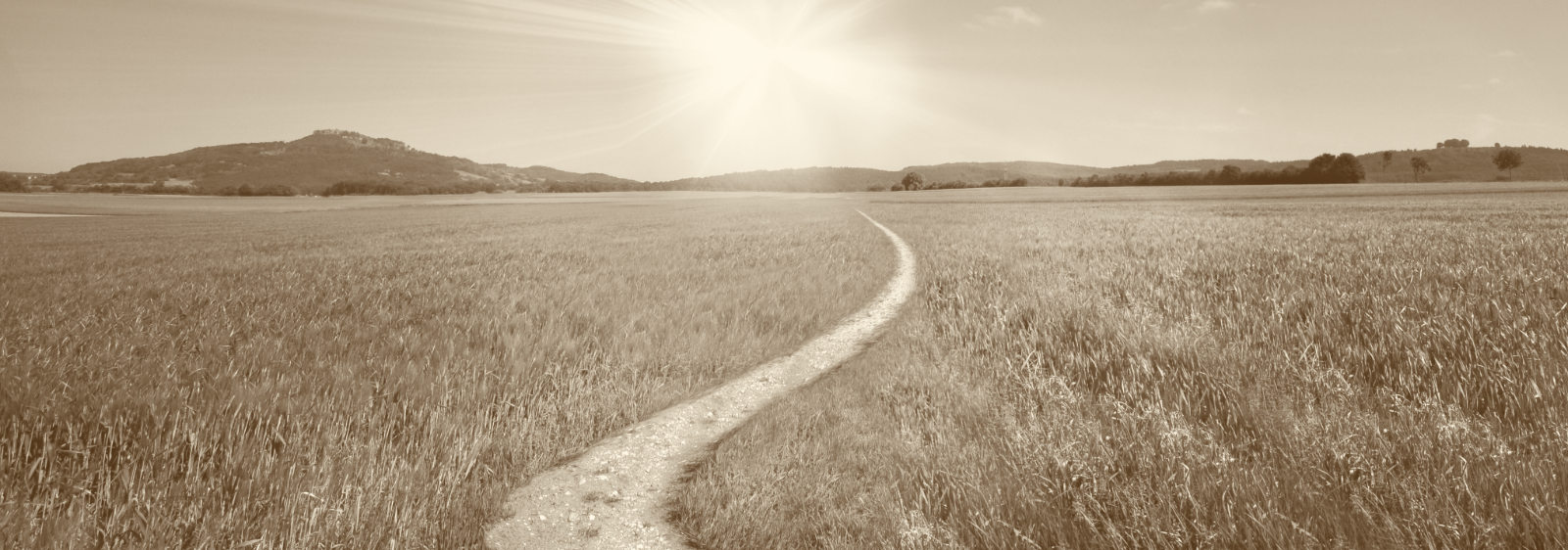 Geschlängelter Pfad durch eine sonnige Landschaft als Ausdruck von Zuversicht, Fortschritt und neuen Möglichkeiten