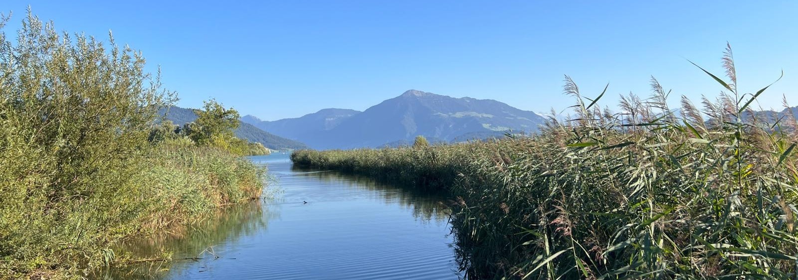 Naturaufnahme am Zugersee - Symbol für den eigene Weg, Gesundheit und Balance